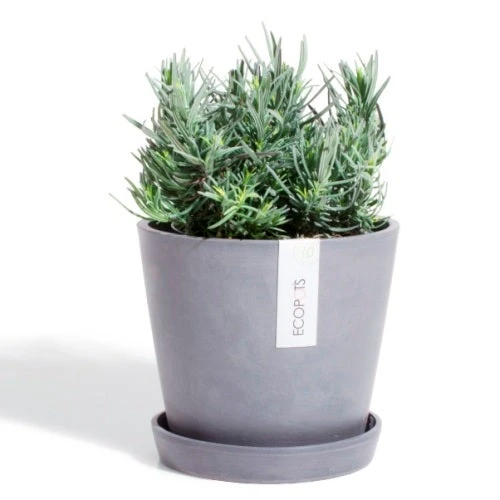 EcoPot Saucer - Amsterdam Blue-grey 2 EcoPot Saucer - Amsterdam Blue-grey - Image 2