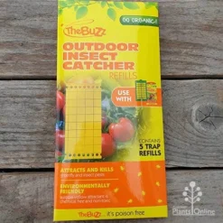 The Buzz Outdoor Insect Catcher Refills - Pack Of 5