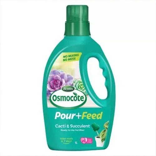Osmocote 1L Pour + Feed Cacti And Succulent Fertiliser 1 Osmocote 1L Pour + Feed Cacti And Succulent Fertiliser