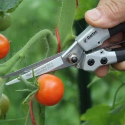 Compact Snips -Plant Collection Sales Shop compact snips