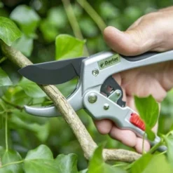 Ratchet Anvil Secateurs -Plant Collection Sales Shop darlac ratchet anvil pruner 1