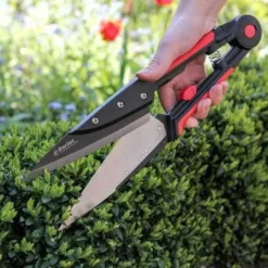 Expert Topiary Shear -Plant Collection Sales Shop darlac topiary