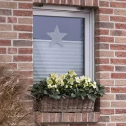 Plant Collection Sales Shop -Plant Collection Sales Shop ice breaker max windowbox