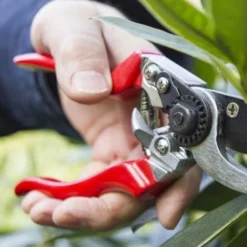 Left Hand Bypass Secateurs -Plant Collection Sales Shop left handed secateurs closer
