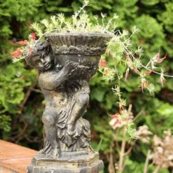 Lotus Red Flash - Parrot's Beak 12 Lotus Red Flash - Parrot's Beak -Plant Collection Sales Shop lotus planted