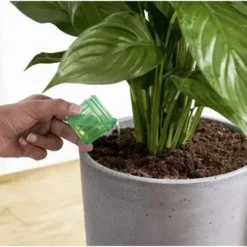 Osmocote 1L Pour + Feed House Plants Fertiliser -Plant Collection Sales Shop osmocote pour and feed indoor