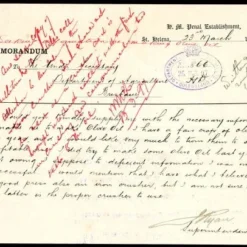 Olive Helena -Plant Collection Sales Shop postcard from st helena superintendent 500 2