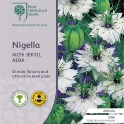 Nigella Miss Jekyll White - Love In A Mist - Seed