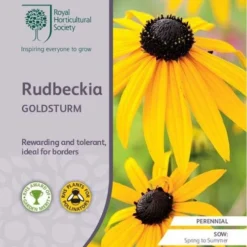 Rudbeckia - Seed -Plant Collection Sales Shop rhs rudbeckia