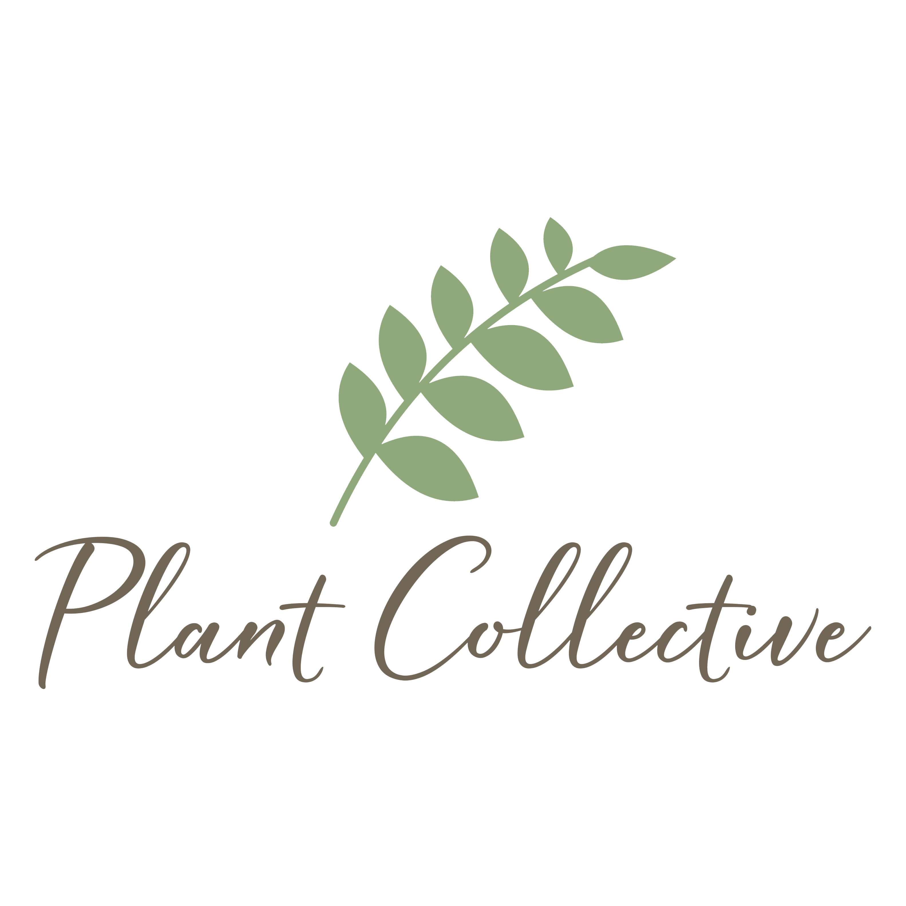 Plant Collection Sales Shop